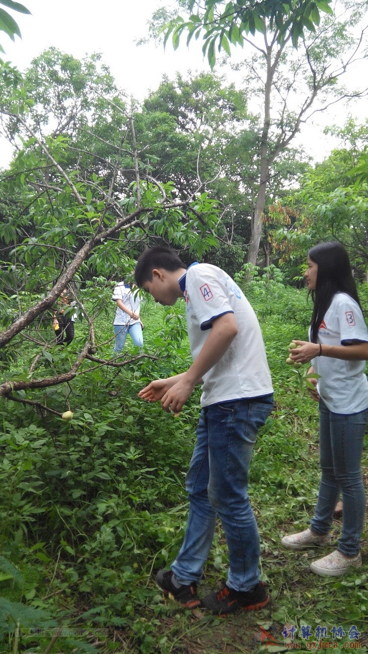 140426ca1831.jpg