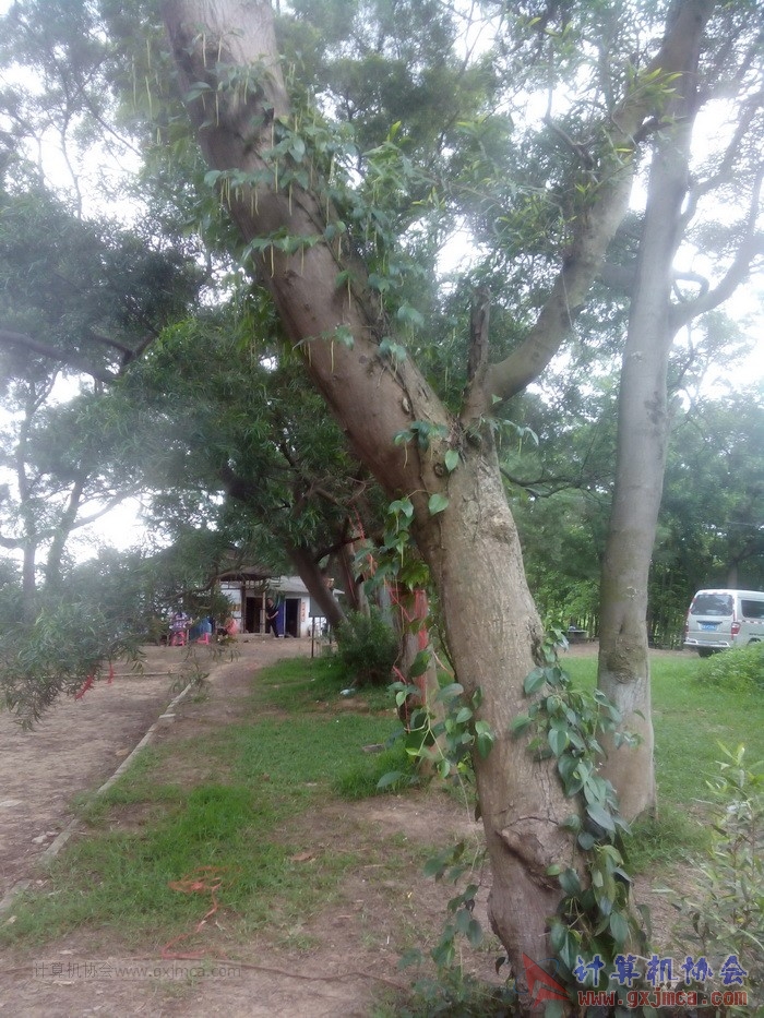 140426ca2016.jpg