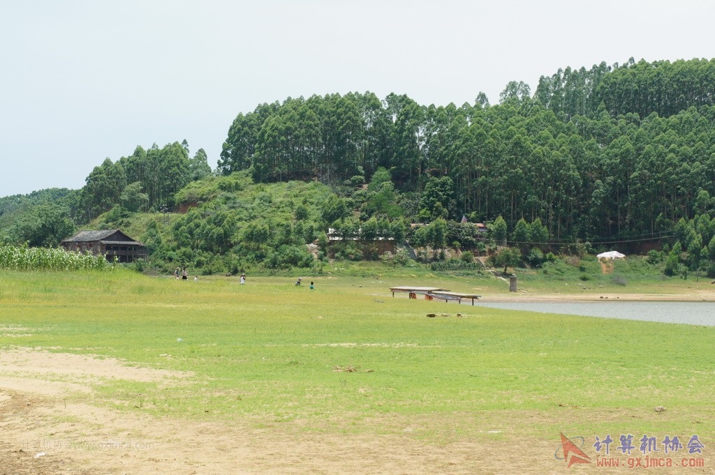 140601ca0224.JPG