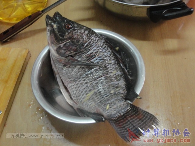 140706kg11.JPG