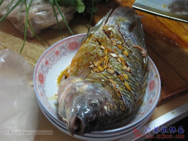 141118kg05.JPG