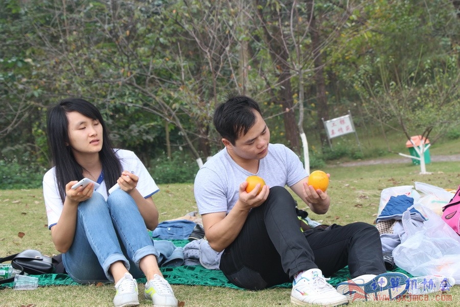 141130ca080.JPG