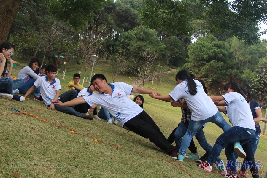 141130ca143.JPG