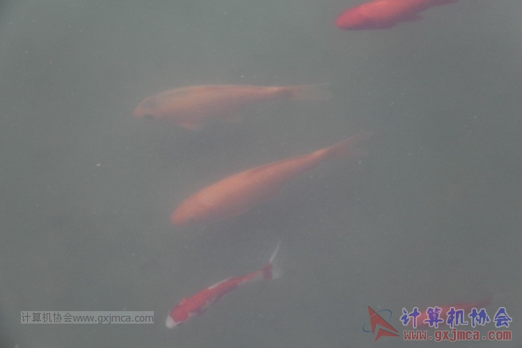 141206qxh022.JPG