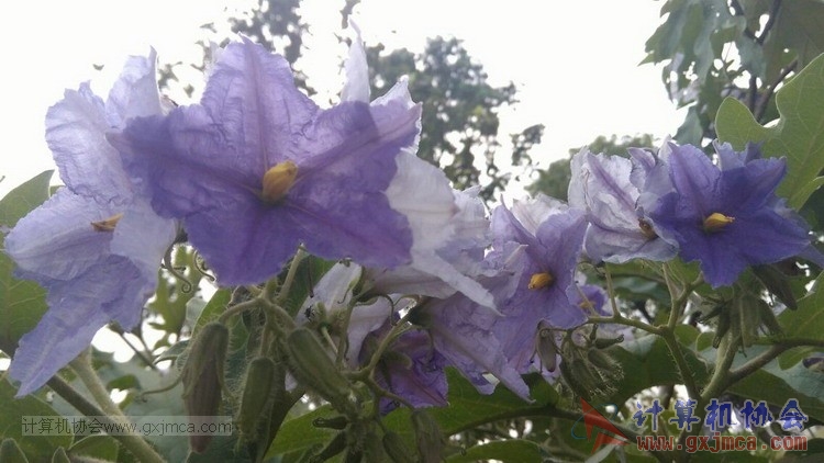 20150426flhlsj31.jpg