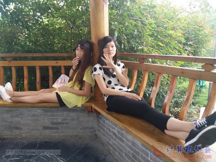 15050995.jpg