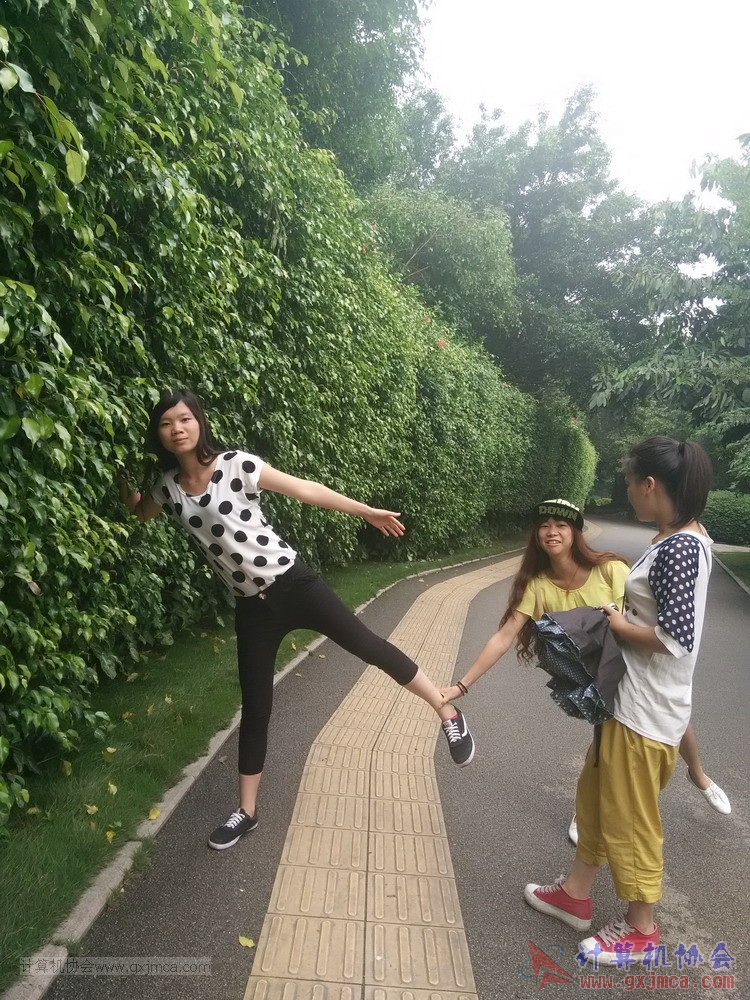 15050999.jpg