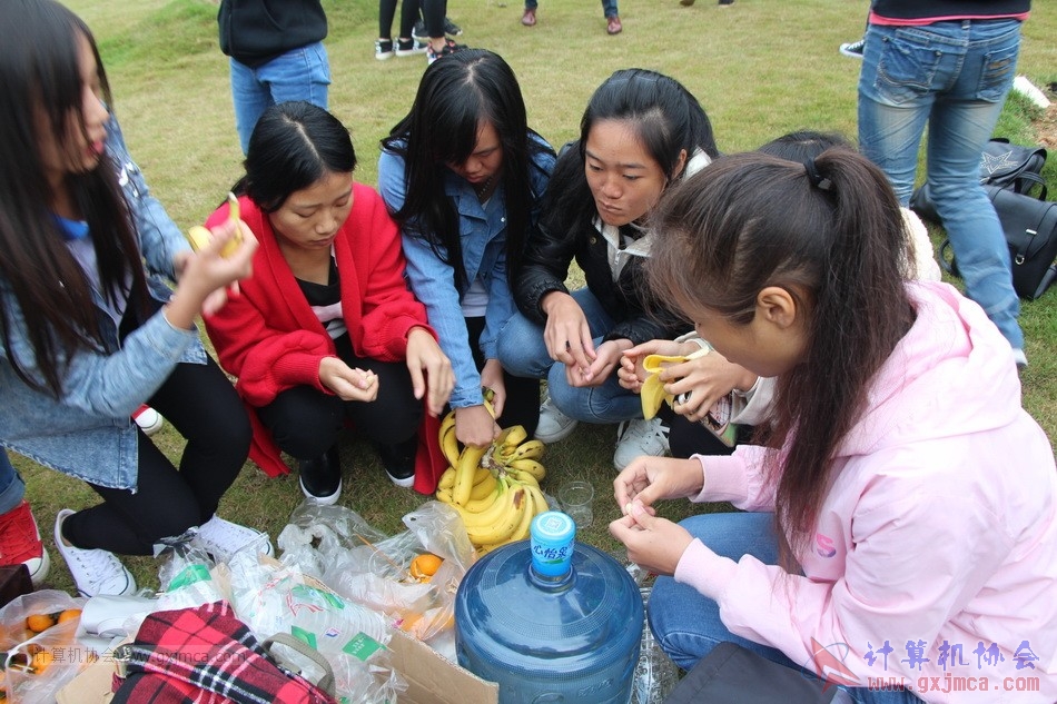 151129yl109.JPG