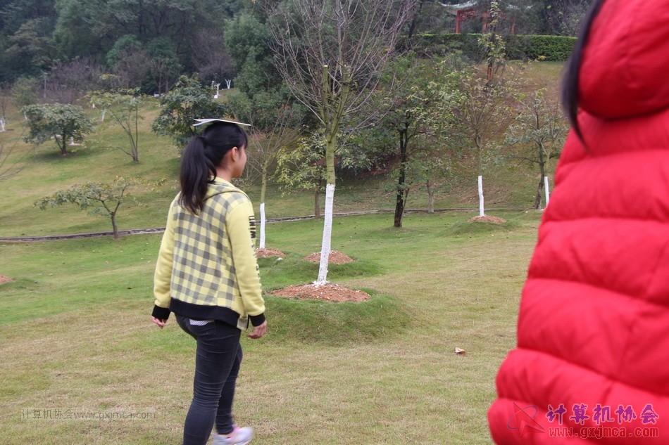 151129yl119.JPG