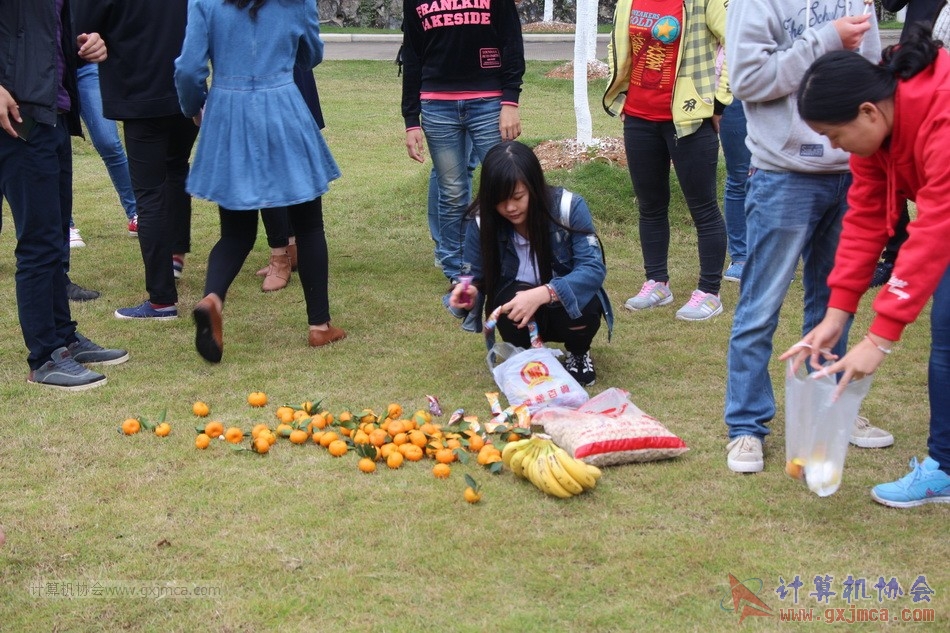 151129yl179.JPG