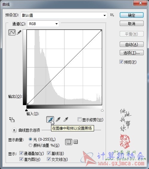 555.jpg