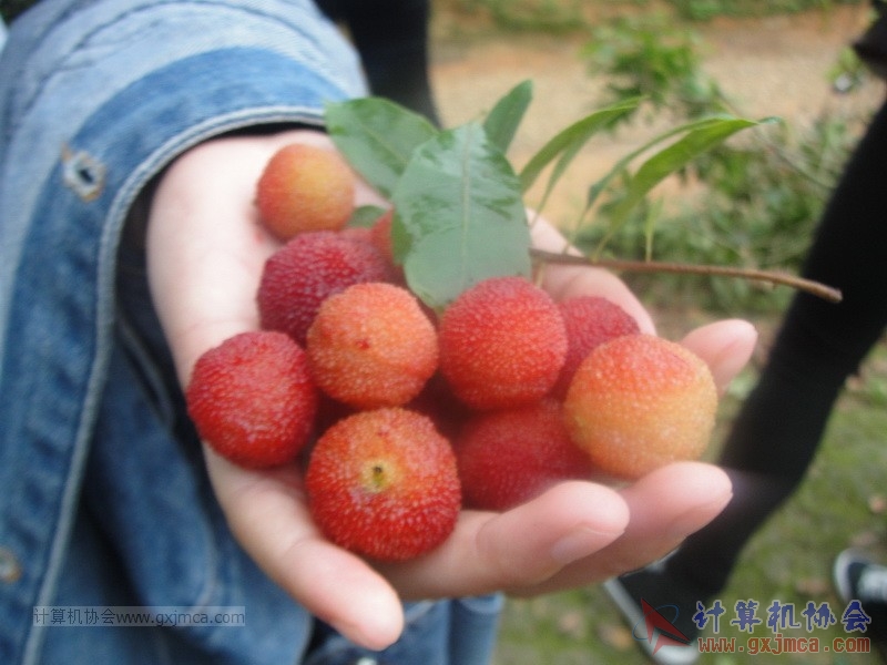 160424sk222_调整大小.JPG