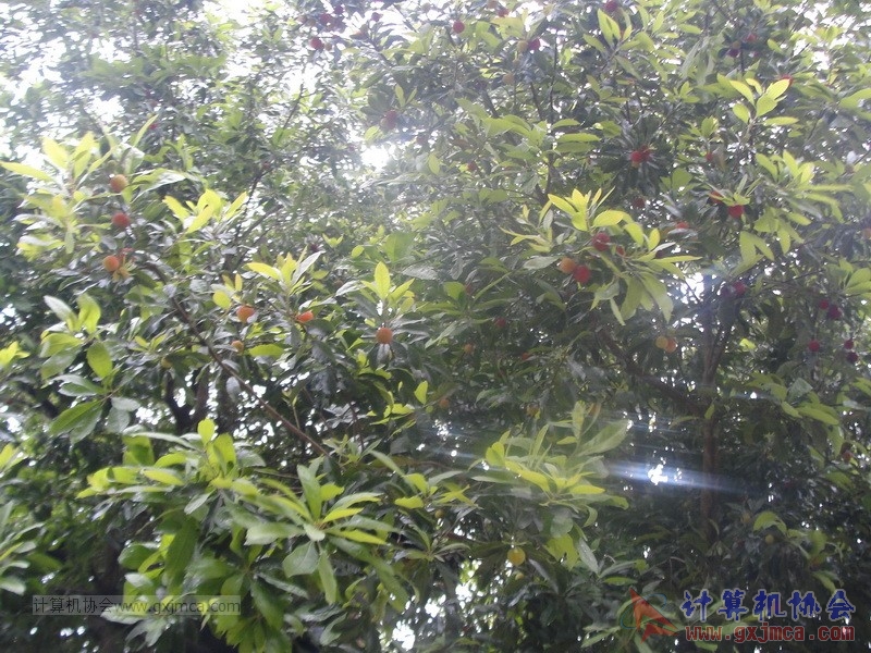 160424sk225_调整大小.JPG