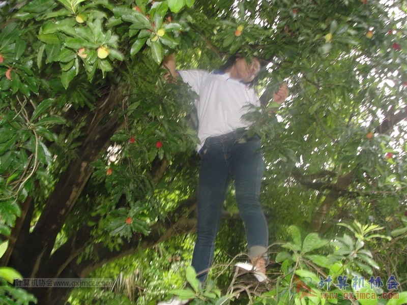 160424sk229_调整大小.JPG