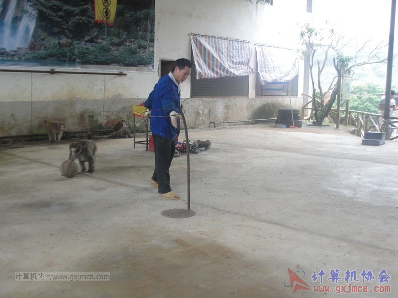 160424sk262_调整大小.JPG