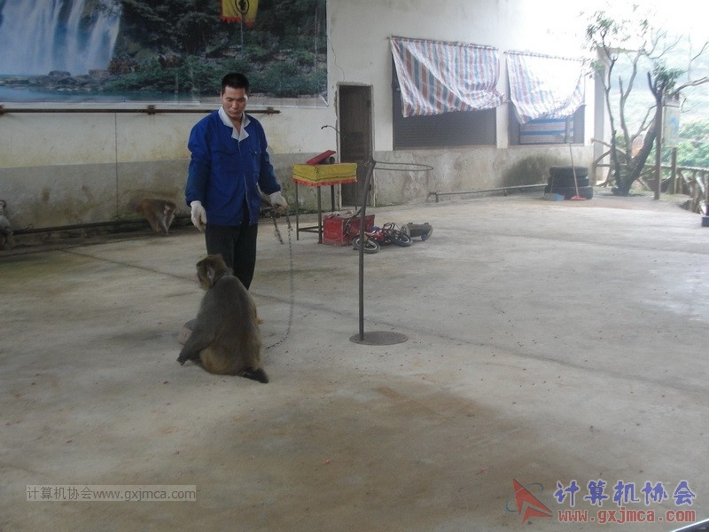 160424sk263_调整大小.JPG