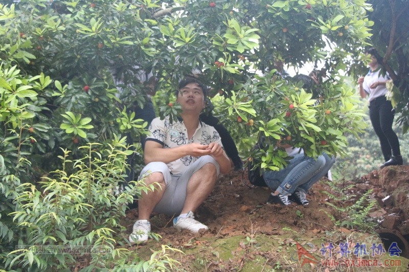 160424sk1127.JPG