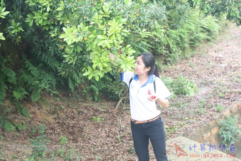160424sk1131.JPG