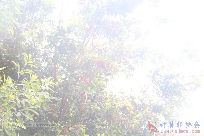 160424sk1144.JPG