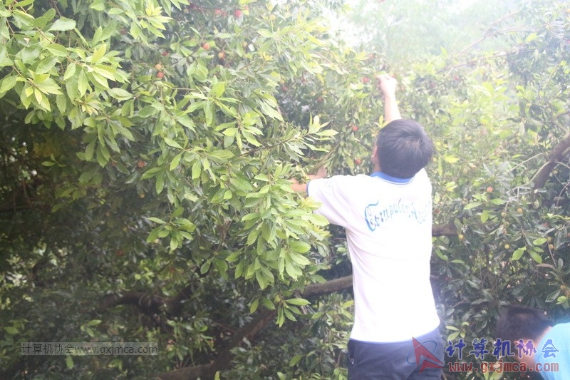 160424sk1145.JPG