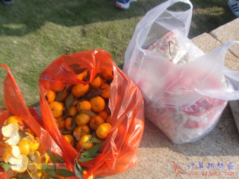 161204yjq0518.JPG