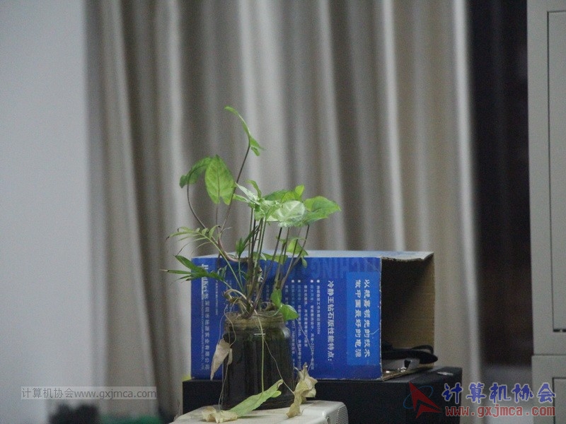 20170316PSTPCL01.JPG