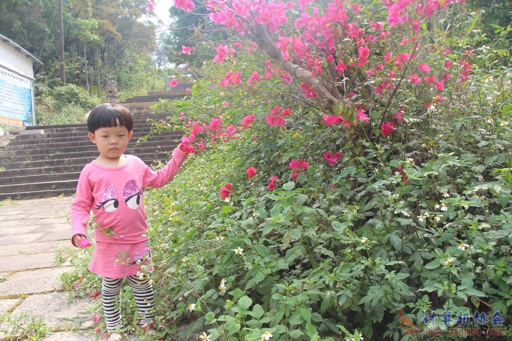 170501sk183.JPG