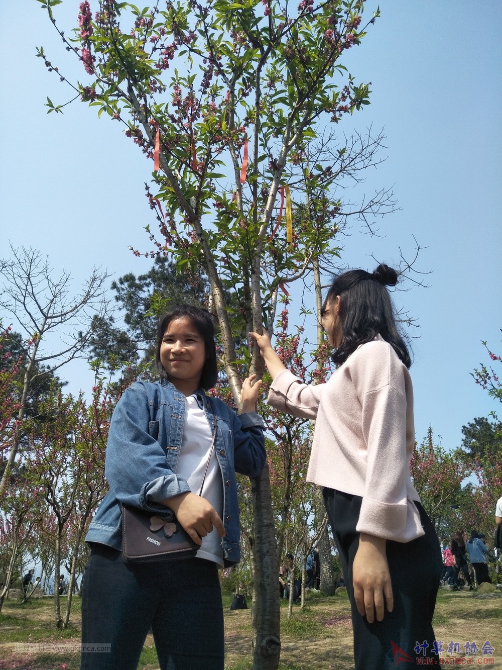 20180310qxssh22.jpg