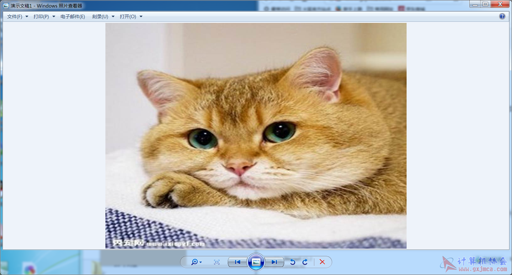44.png