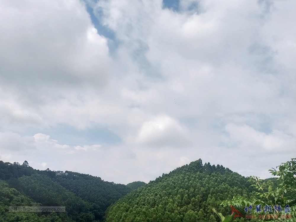 200620CA15jh325.jpg