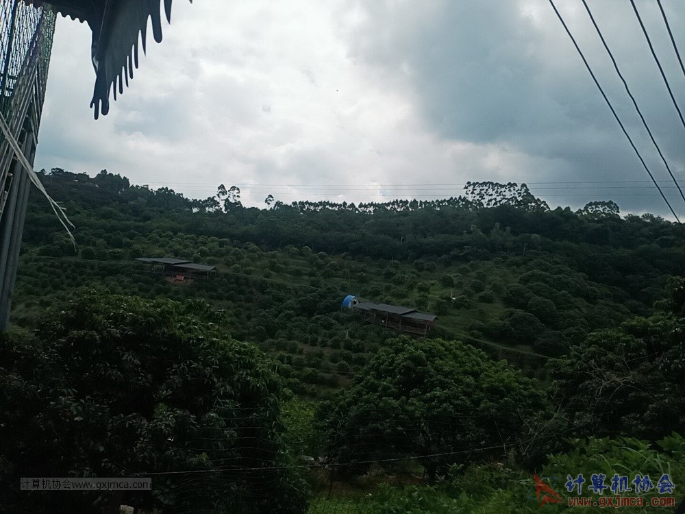 200620CA15jh466.jpg