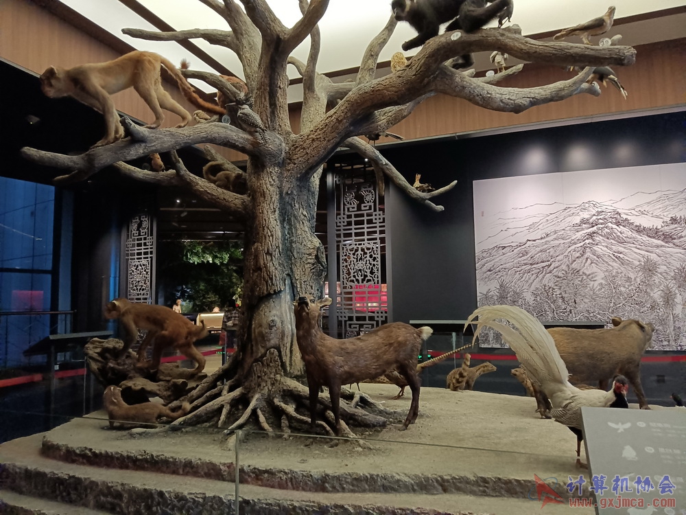 201226nnbwg043.jpg