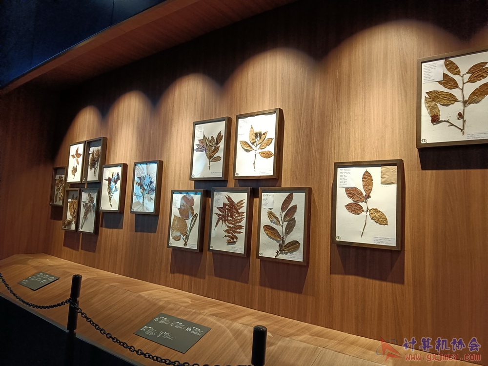 201226nnbwg042.jpg