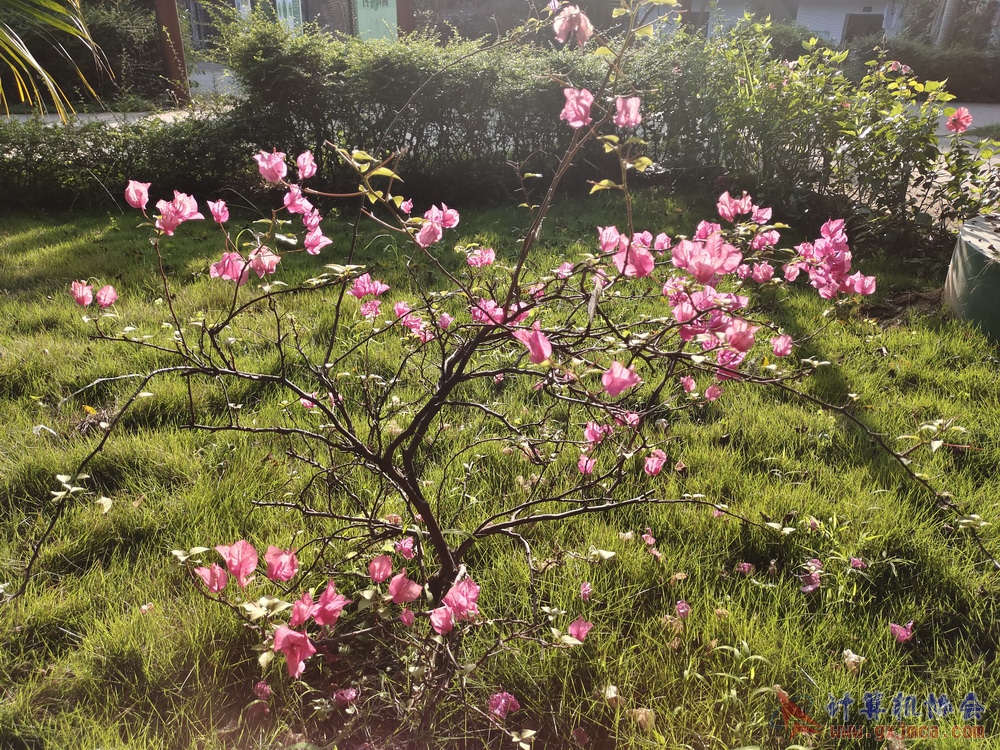 230416CAskly091.jpg