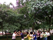 20150524协会人事部游玩金花茶公园部门联谊活动（02）