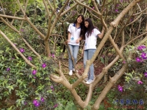 20140426 协会亚热带科晋植物园烧烤联谊活动(亲们手机照)(02)