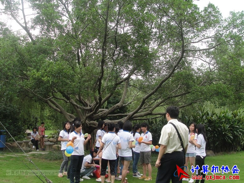 120614ca0667.JPG