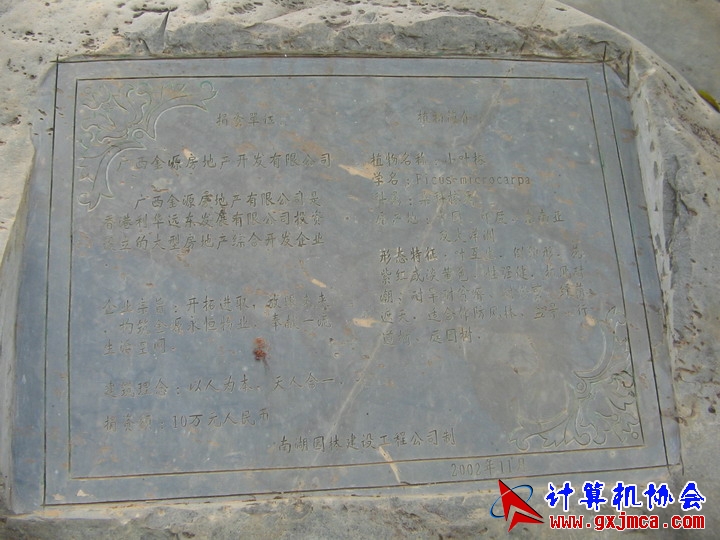 061021CA085.jpg