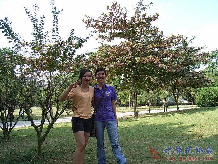 071029XCB243.jpg