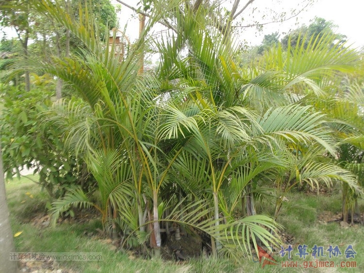 150322wxh107.JPG