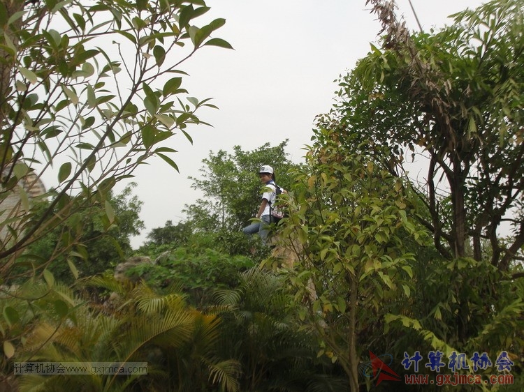 150322wxh124.JPG