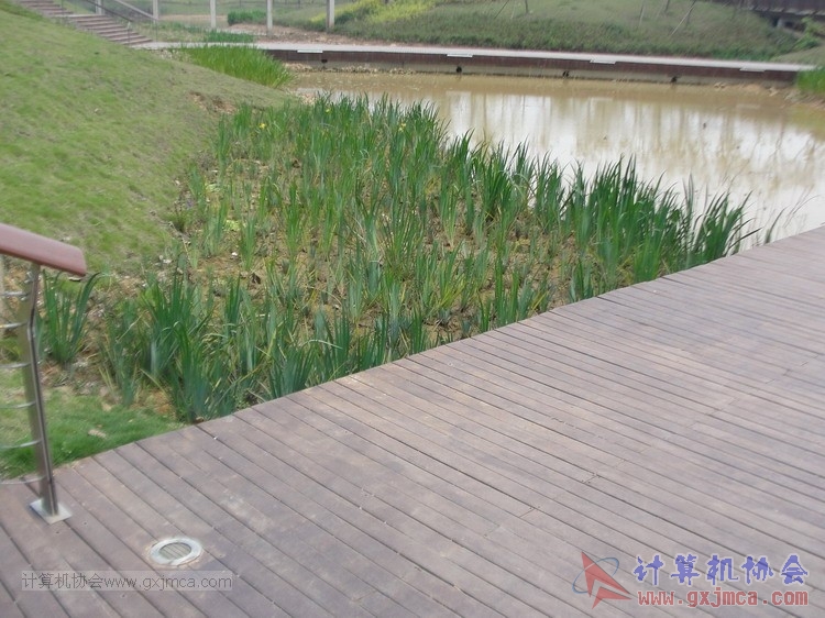 150322wxh169.JPG