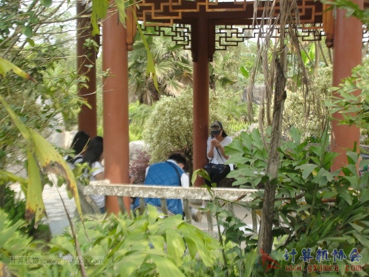150322wxh196.JPG