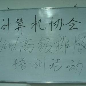协会开展《WORD高级排版一》培训活动